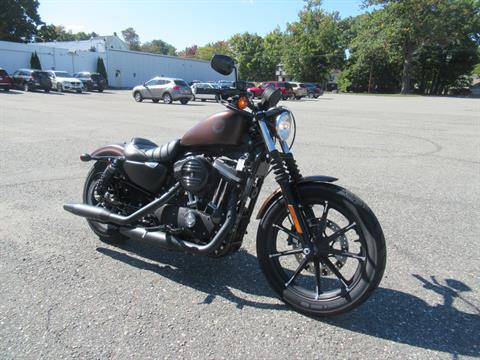 2019 Harley-Davidson Iron 883™ in Springfield, Massachusetts - Photo 3