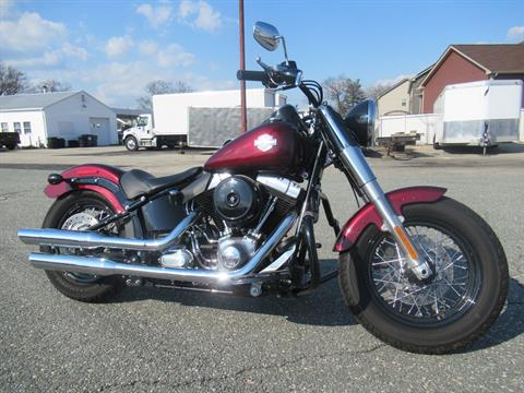 2014 Harley-Davidson Softail Slim® in Springfield, Massachusetts - Photo 3