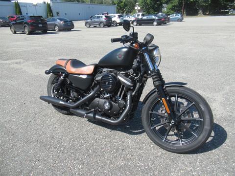 2021 Harley-Davidson Iron 883™ in Springfield, Massachusetts - Photo 3