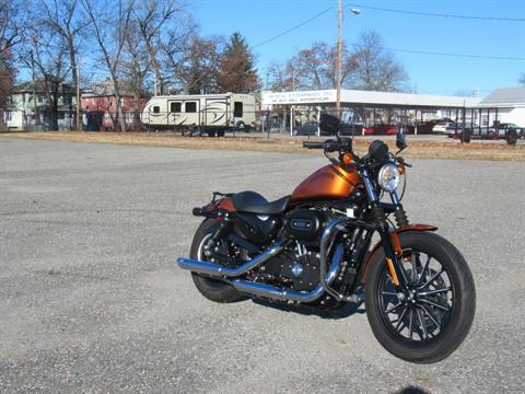 2014 Harley-Davidson Sportster® Iron 883™ in Springfield, Massachusetts - Photo 8