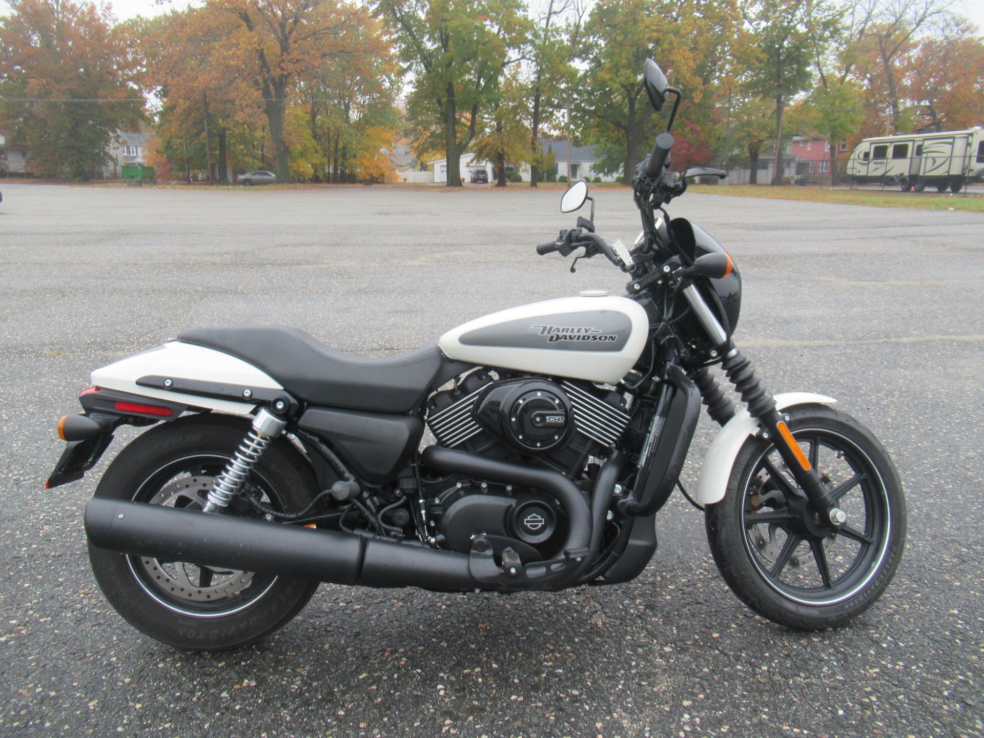 2019 Harley-Davidson Street® 750 in Springfield, Massachusetts - Photo 1