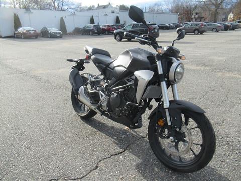 2019 Honda CB300R in Springfield, Massachusetts - Photo 2