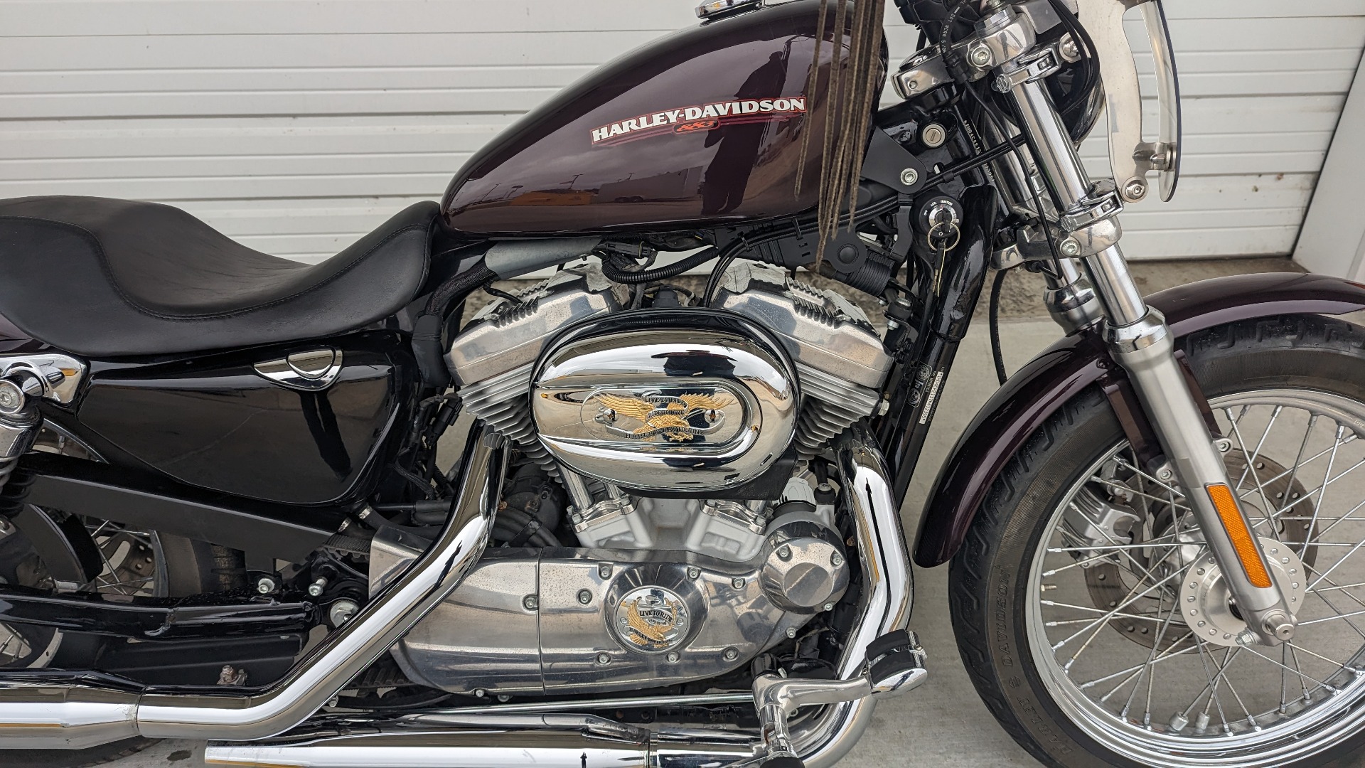 harley sportster 883 low for sale in dallas - Photo 3