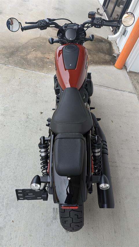 new harley sportster for sale near me - Photo 11