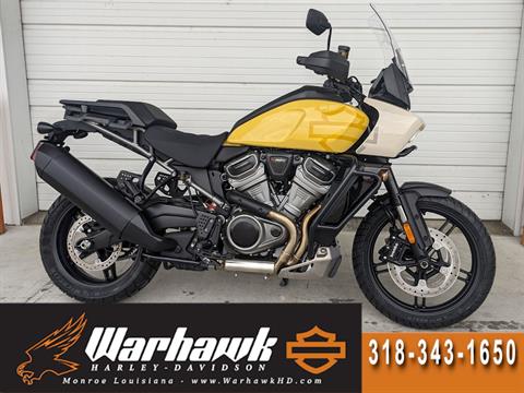 New 2023 Harley Davidson Panamerica 1250 special for sale industrial yellow - Photo 1