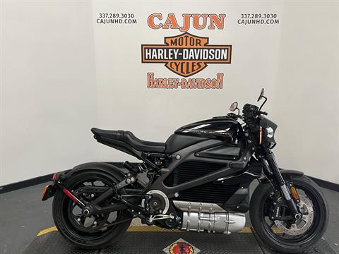 2020 Harley-Davidson Livewire™ in Scott, Louisiana - Photo 1