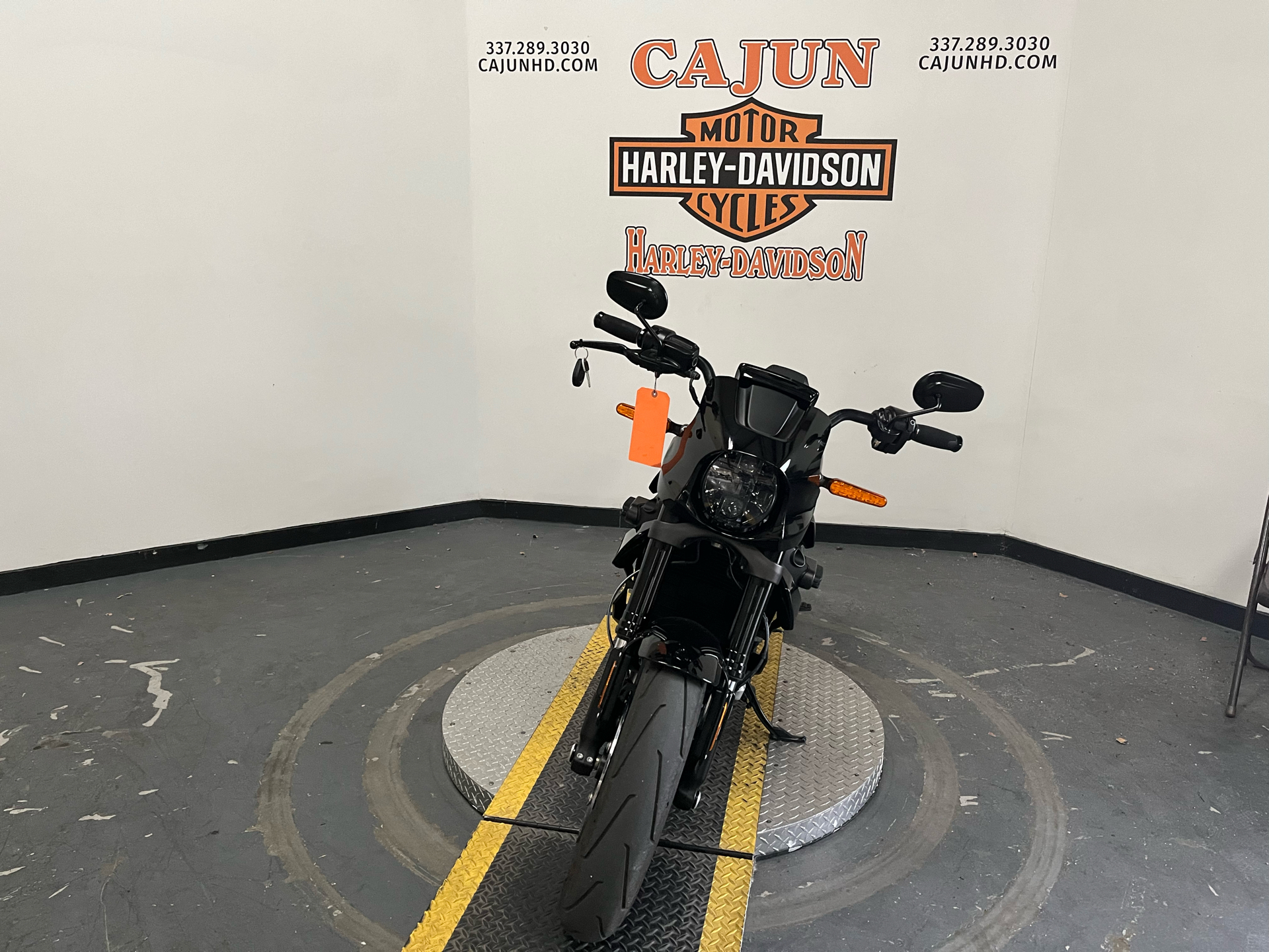 2020 Harley-Davidson Livewire™ in Scott, Louisiana - Photo 5