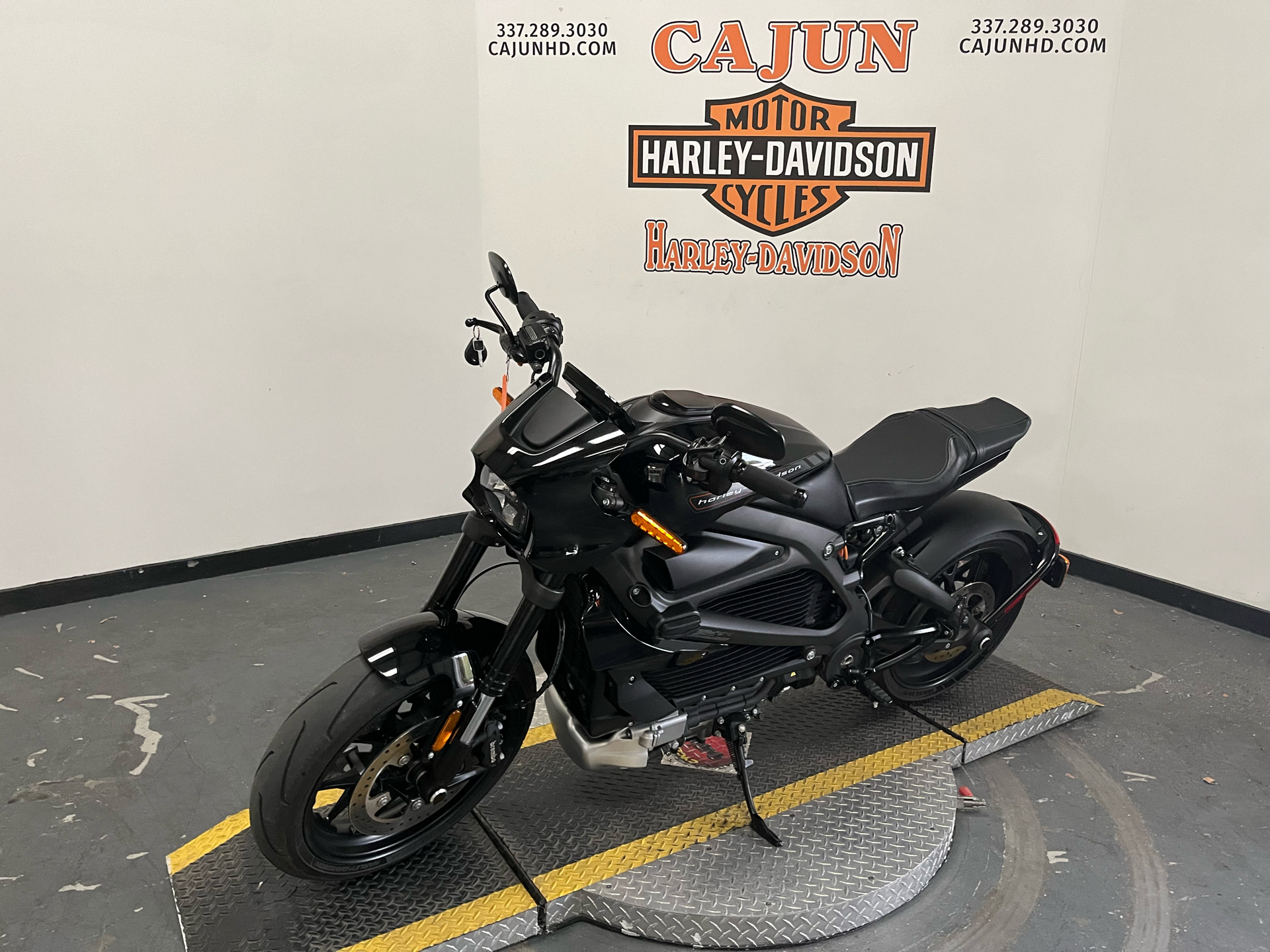 2020 Harley-Davidson Livewire™ in Scott, Louisiana - Photo 6