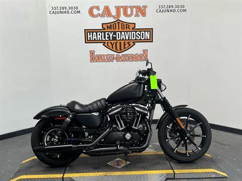 2020 Harley-Davidson Iron - Photo 1