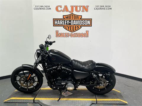 2020 Harley-Davidson Iron black - Photo 4