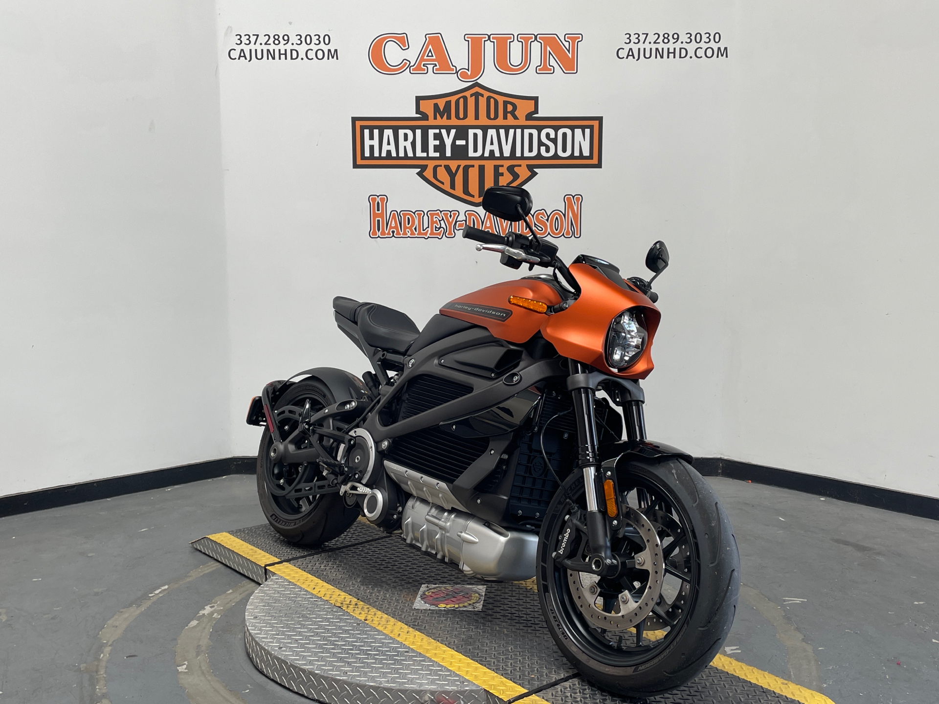 2020 Harley-Davidson Livewire™ in Scott, Louisiana - Photo 2