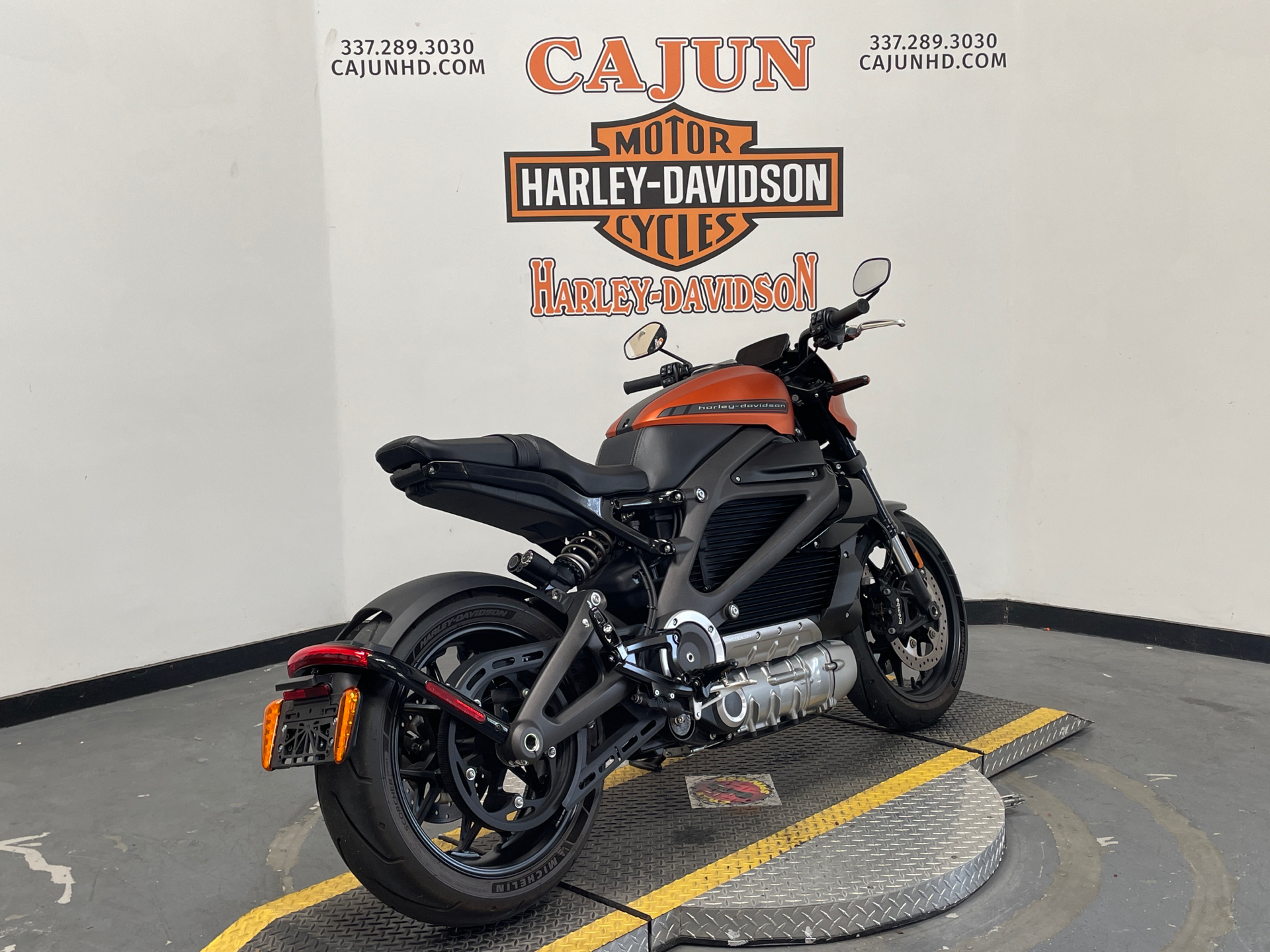 2020 Harley-Davidson Livewire™ in Scott, Louisiana - Photo 7