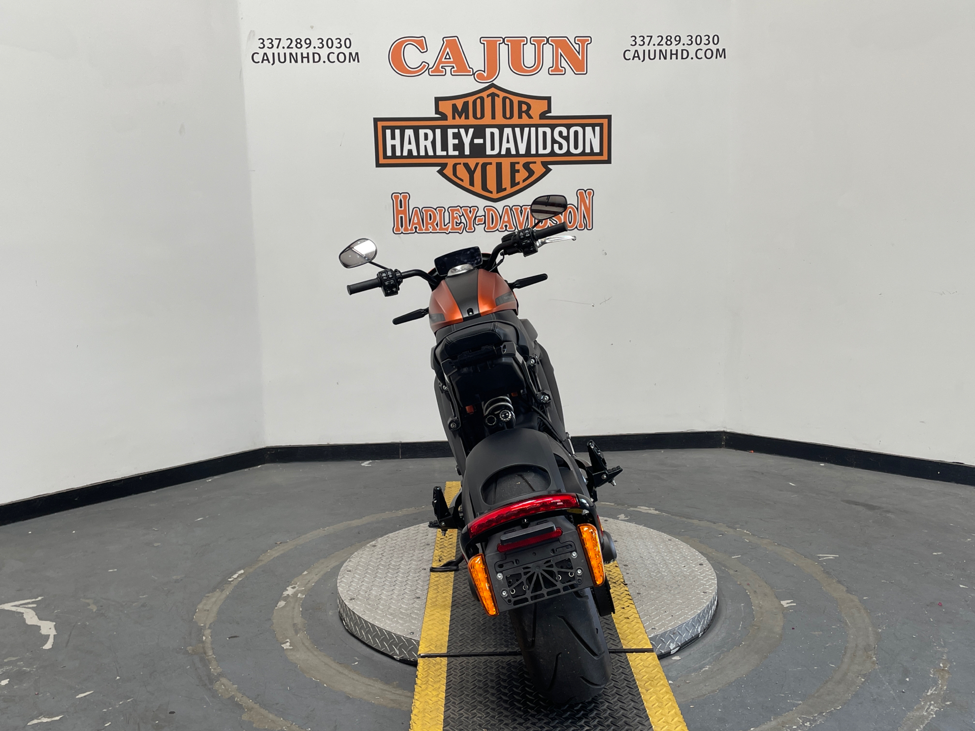 2020 Harley-Davidson Livewire™ in Scott, Louisiana - Photo 8