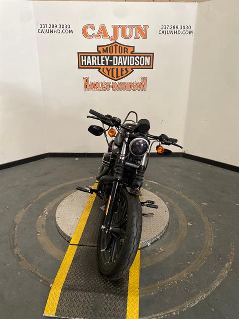 2020 Harley-Davidson Iron 883™ in Scott, Louisiana - Photo 5