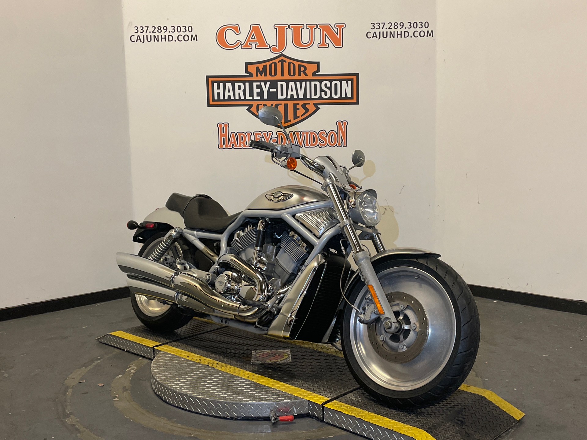 2003 Harley VRSCA V-Rod - Photo 2