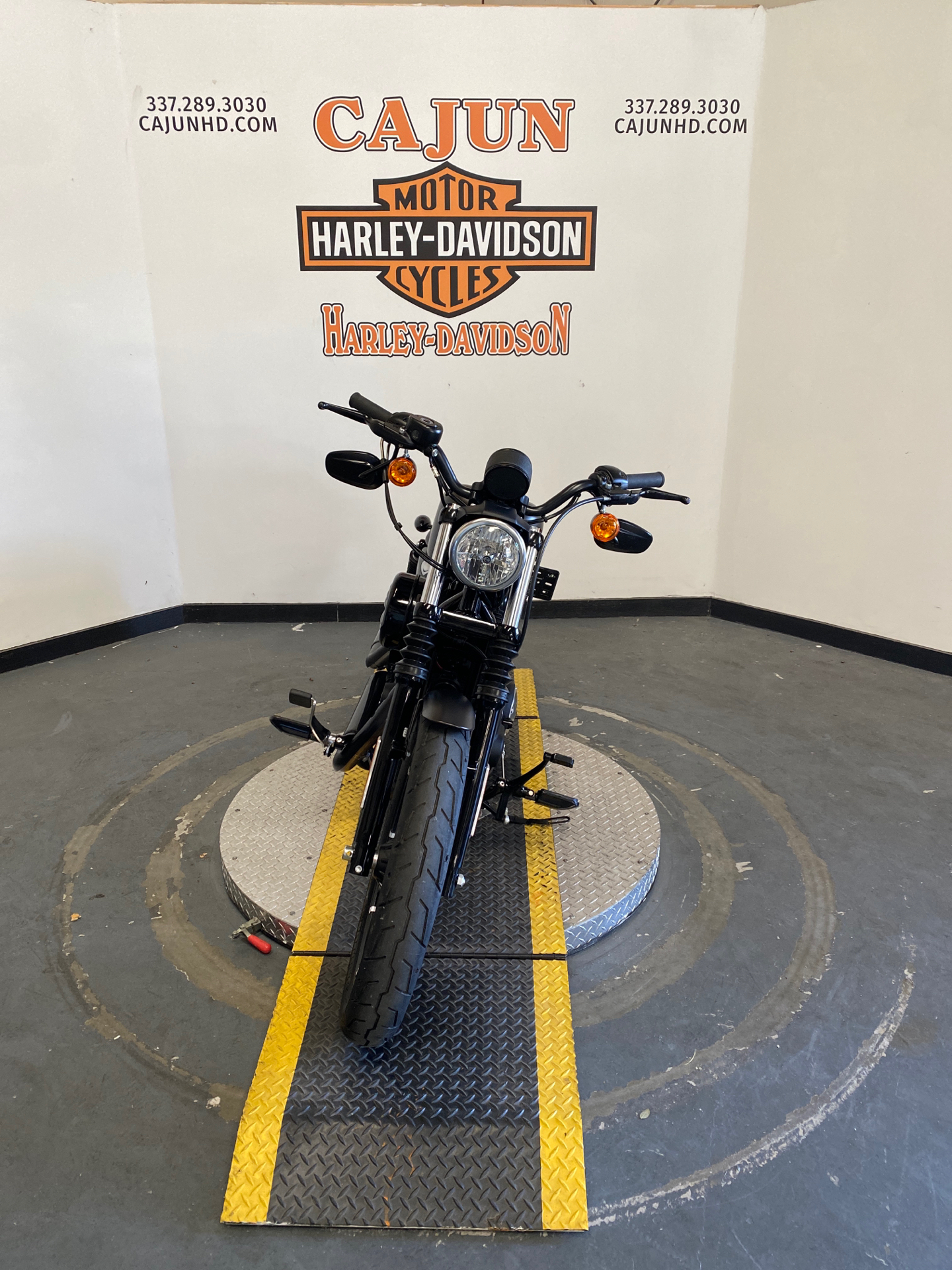 2021 Harley-Davidson Iron 883 used - Photo 5