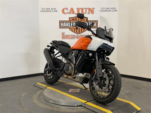 2021 Harley Pan America™ Special - Photo 2