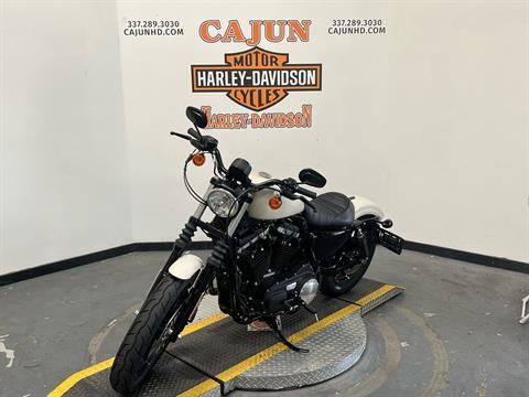 2022 Harley-Davidson Iron 883 Louisiana - Photo 7