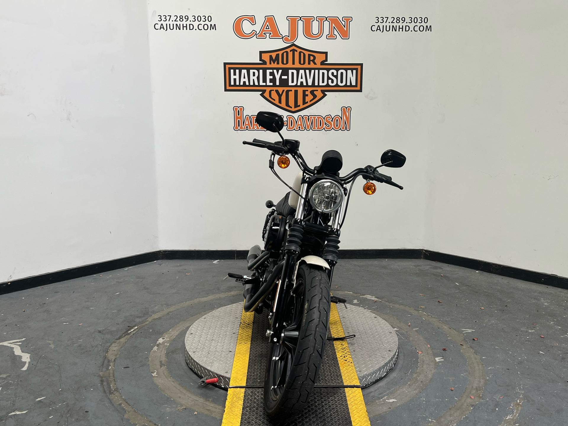 2022 Harley-Davidson Iron 883™ in Scott, Louisiana - Photo 4