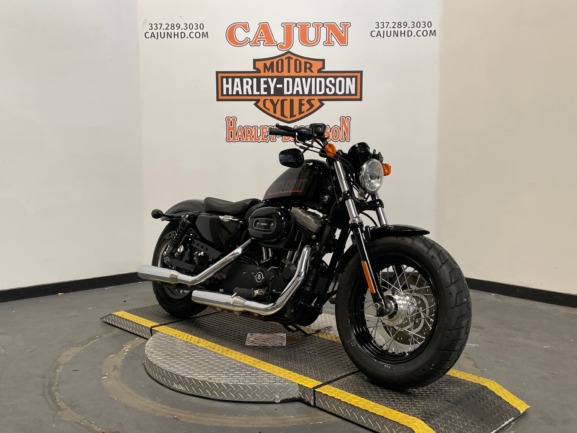 2013 Harley Sportster - Photo 2