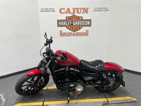 2019 Harley-Davidson Iron 883™ in Scott, Louisiana - Photo 7