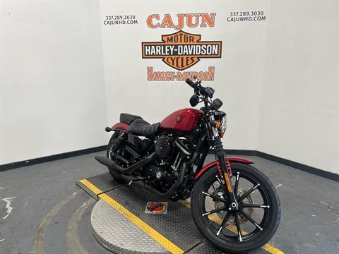2019 Harley-Davidson Iron 883™ in Scott, Louisiana - Photo 4