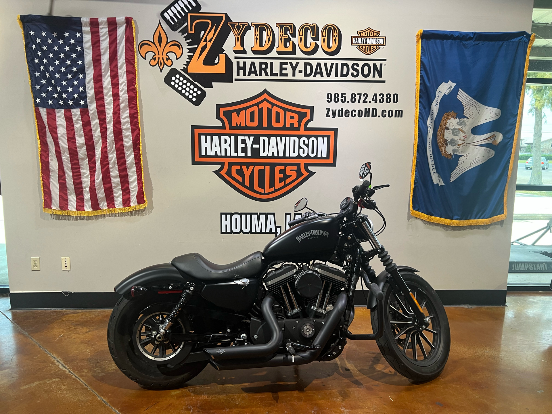 2015 Harley-Davidson Iron 883™ in Houma, Louisiana - Photo 1