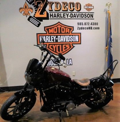 2017 Harley-Davidson Iron 883™ in Houma, Louisiana - Photo 4