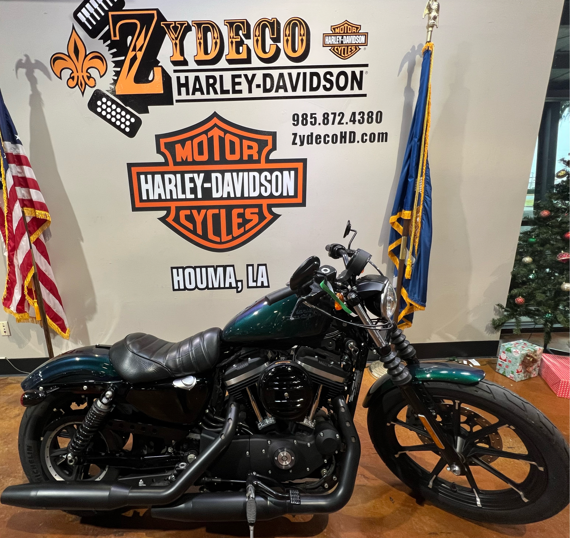 2021 Harley-Davidson Iron 883™ in Houma, Louisiana - Photo 1
