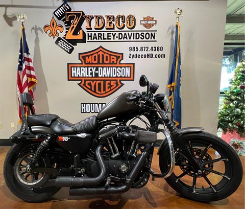 2021 Harley-Davidson Iron 883™ in Houma, Louisiana - Photo 1