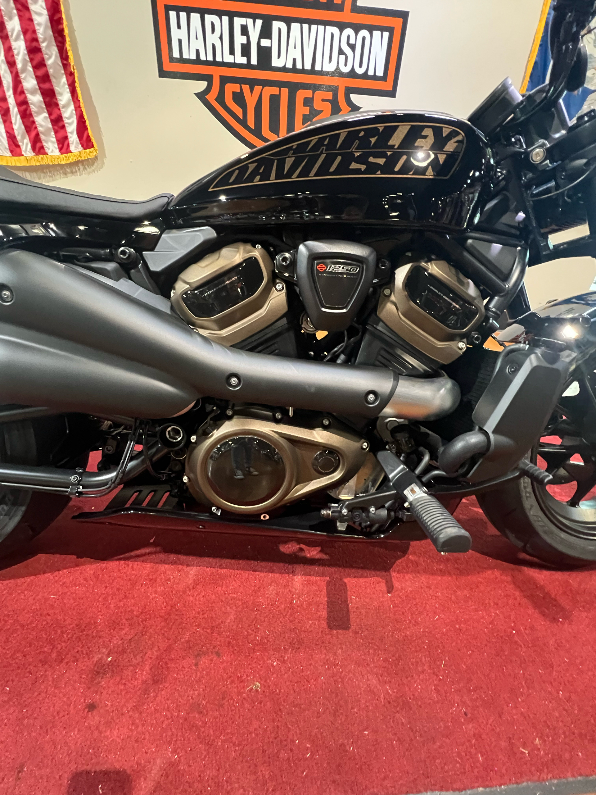 2024 Harley-Davidson Sportster® S in Houma, Louisiana - Photo 9