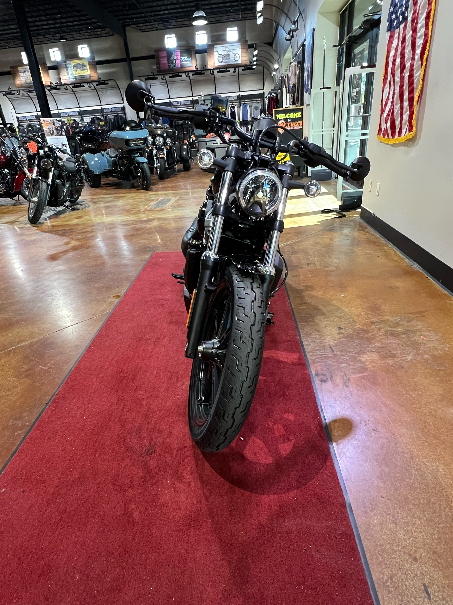 2024 Harley-Davidson Nightster in Houma, Louisiana - Photo 3