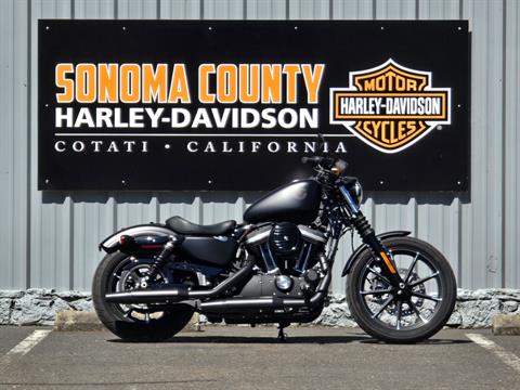 2019 Harley-Davidson SPORTSTER 883 IRON in Cotati, California - Photo 1