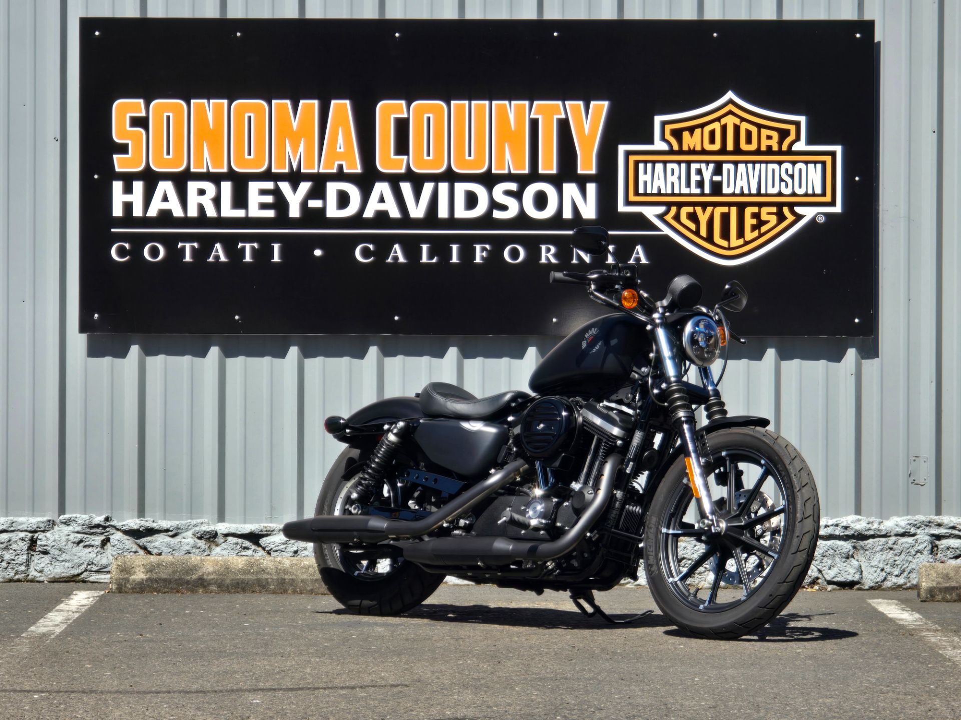 2019 Harley-Davidson SPORTSTER 883 IRON in Cotati, California - Photo 2