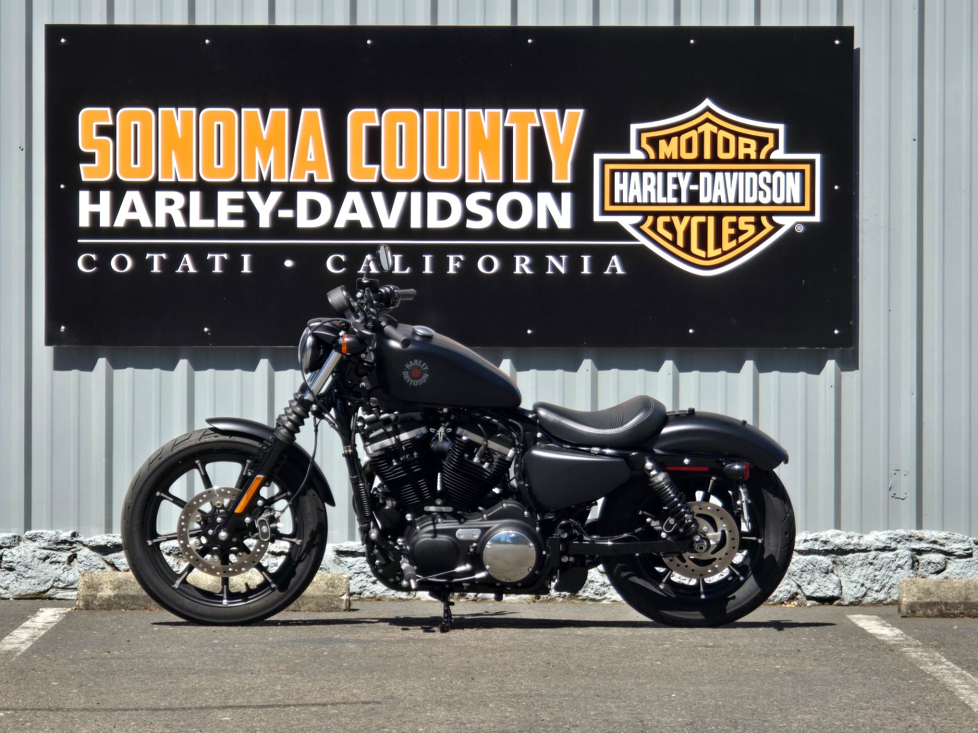 2019 Harley-Davidson SPORTSTER 883 IRON in Cotati, California - Photo 3