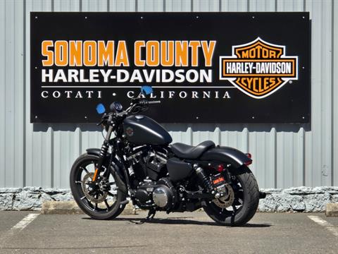 2019 Harley-Davidson SPORTSTER 883 IRON in Cotati, California - Photo 4