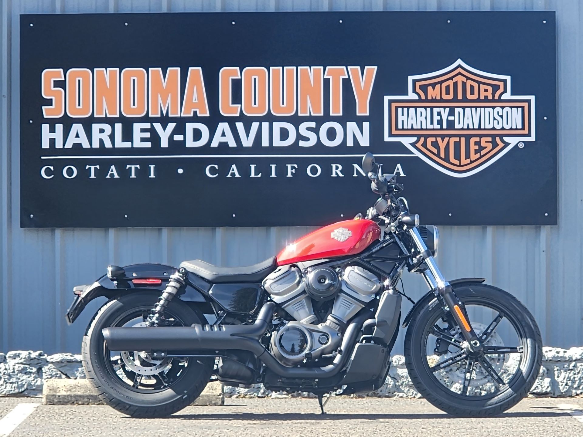 2023 Harley-Davidson Nightster™ in Cotati, California - Photo 1