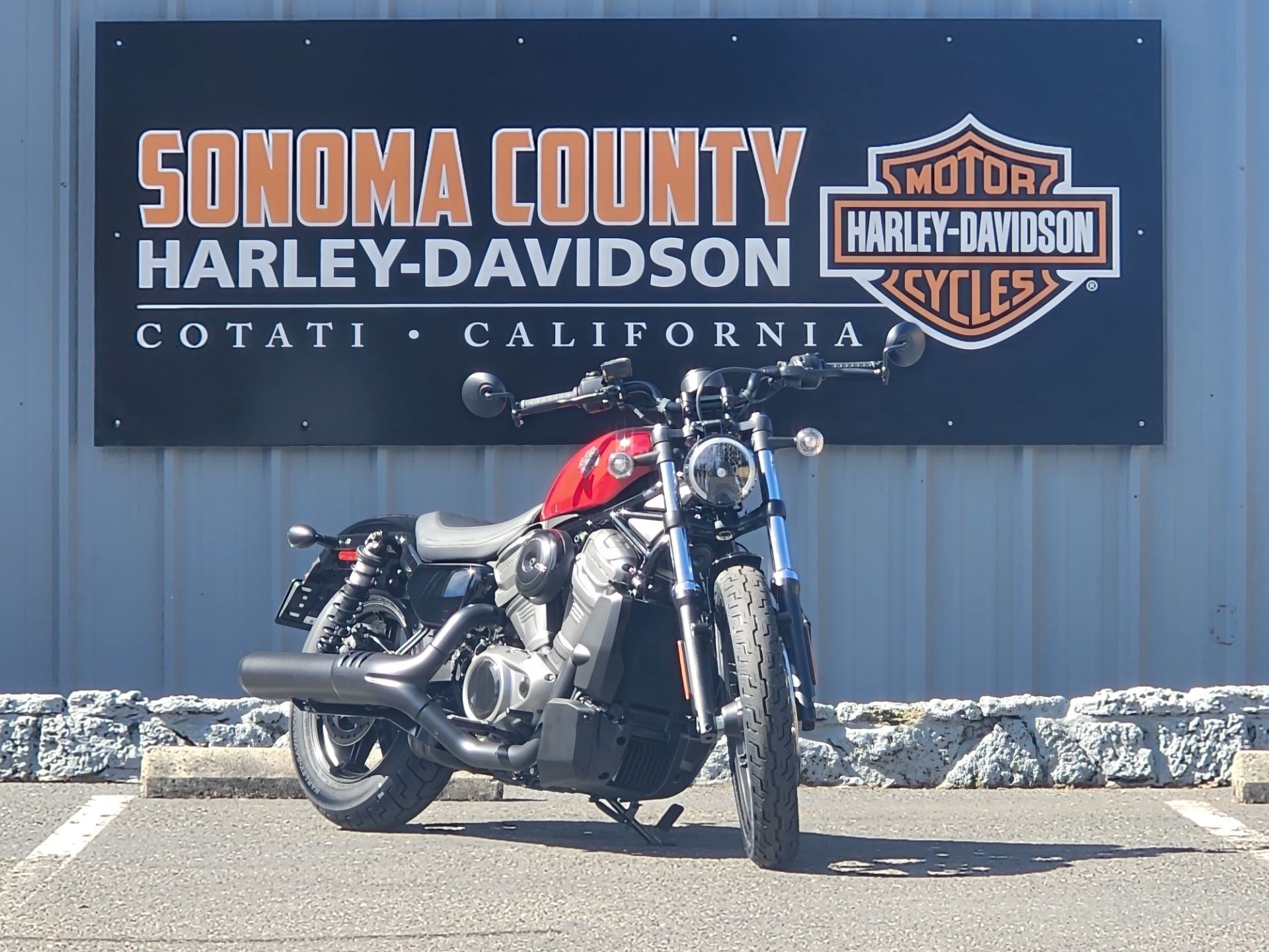 2023 Harley-Davidson Nightster™ in Cotati, California - Photo 2