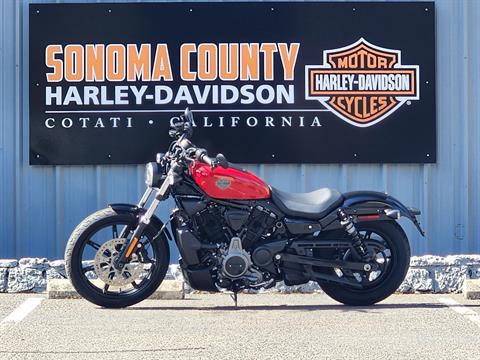 2023 Harley-Davidson Nightster™ in Cotati, California - Photo 3