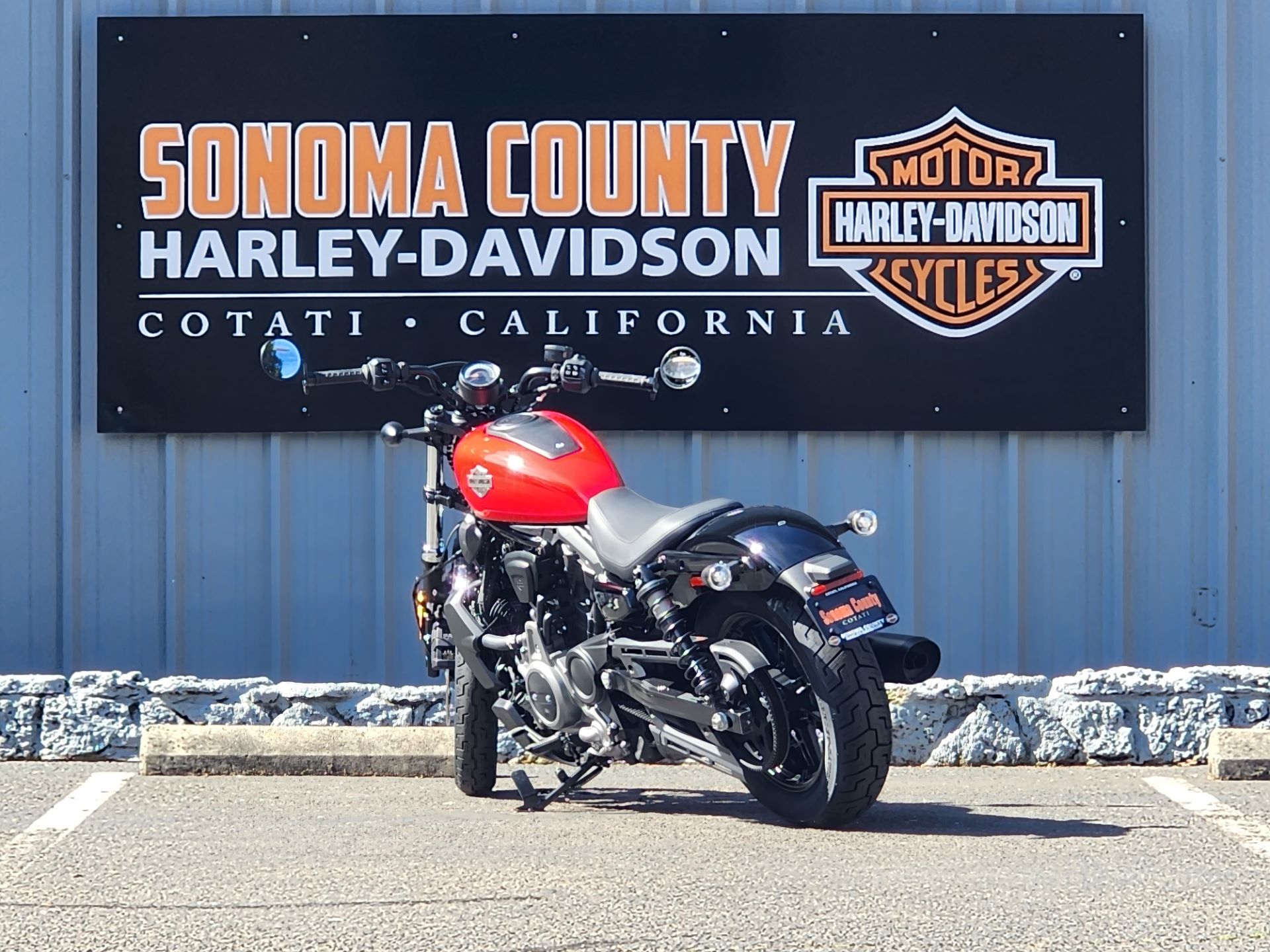 2023 Harley-Davidson Nightster™ in Cotati, California - Photo 4