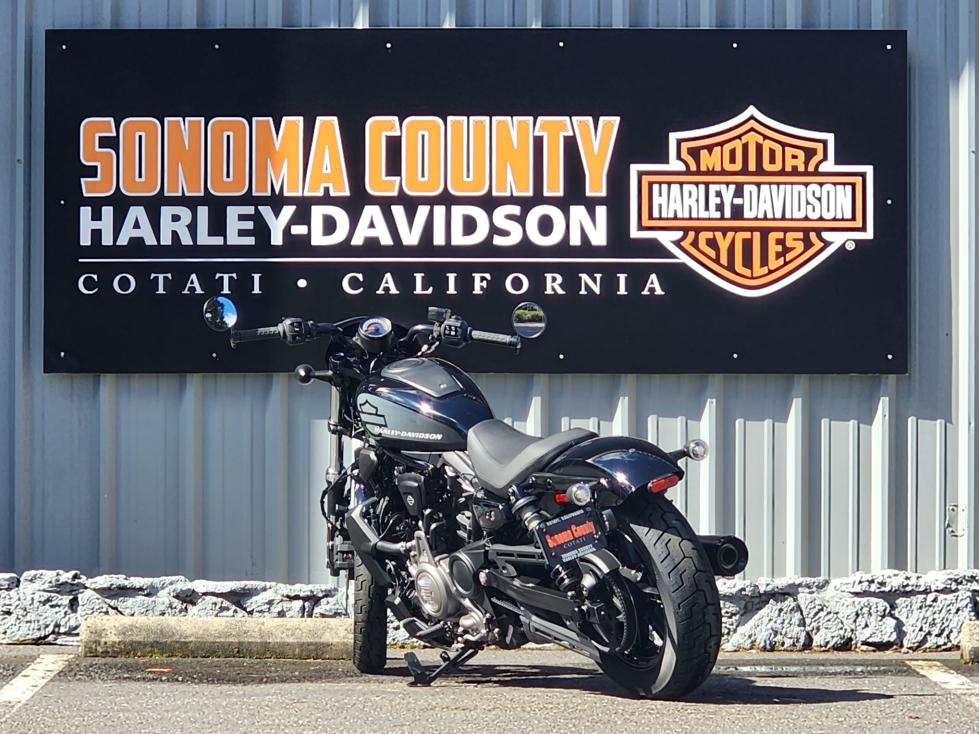 2022 Harley-Davidson Nightster™ in Cotati, California - Photo 4