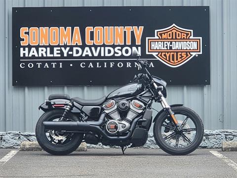 2022 Harley-Davidson Nightster™ in Cotati, California - Photo 1