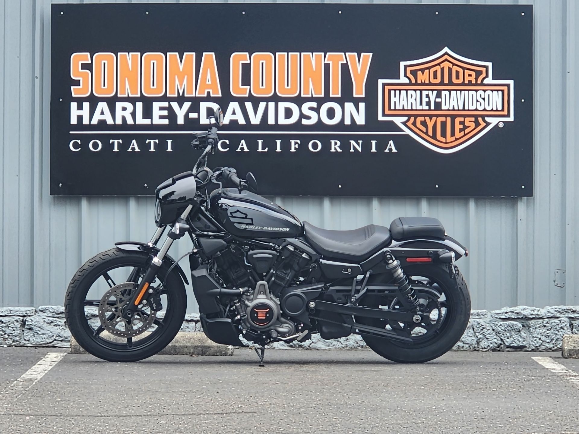 2022 Harley-Davidson Nightster™ in Cotati, California - Photo 3