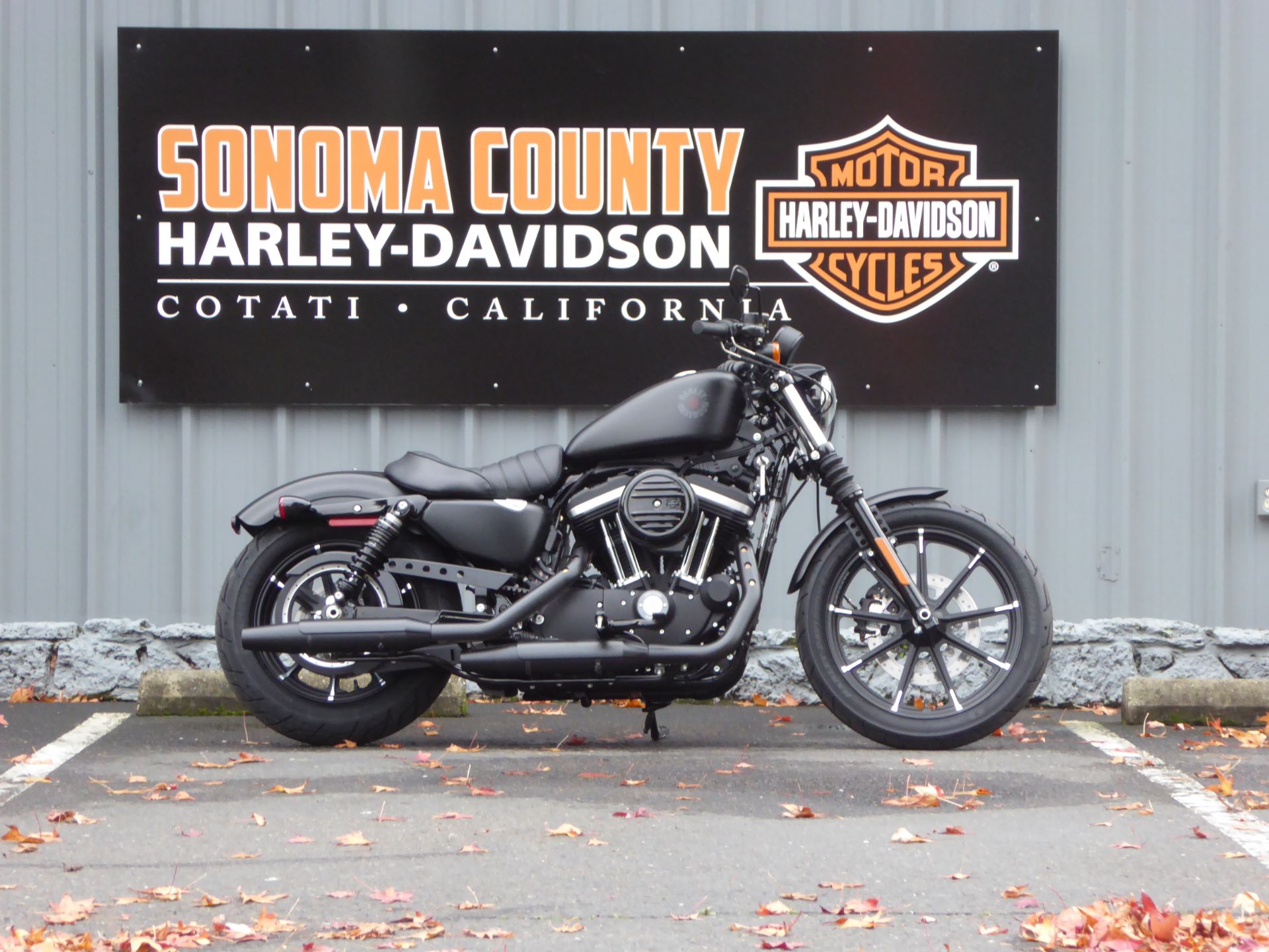 2022 Harley-Davidson IRON 883 in Cotati, California - Photo 1