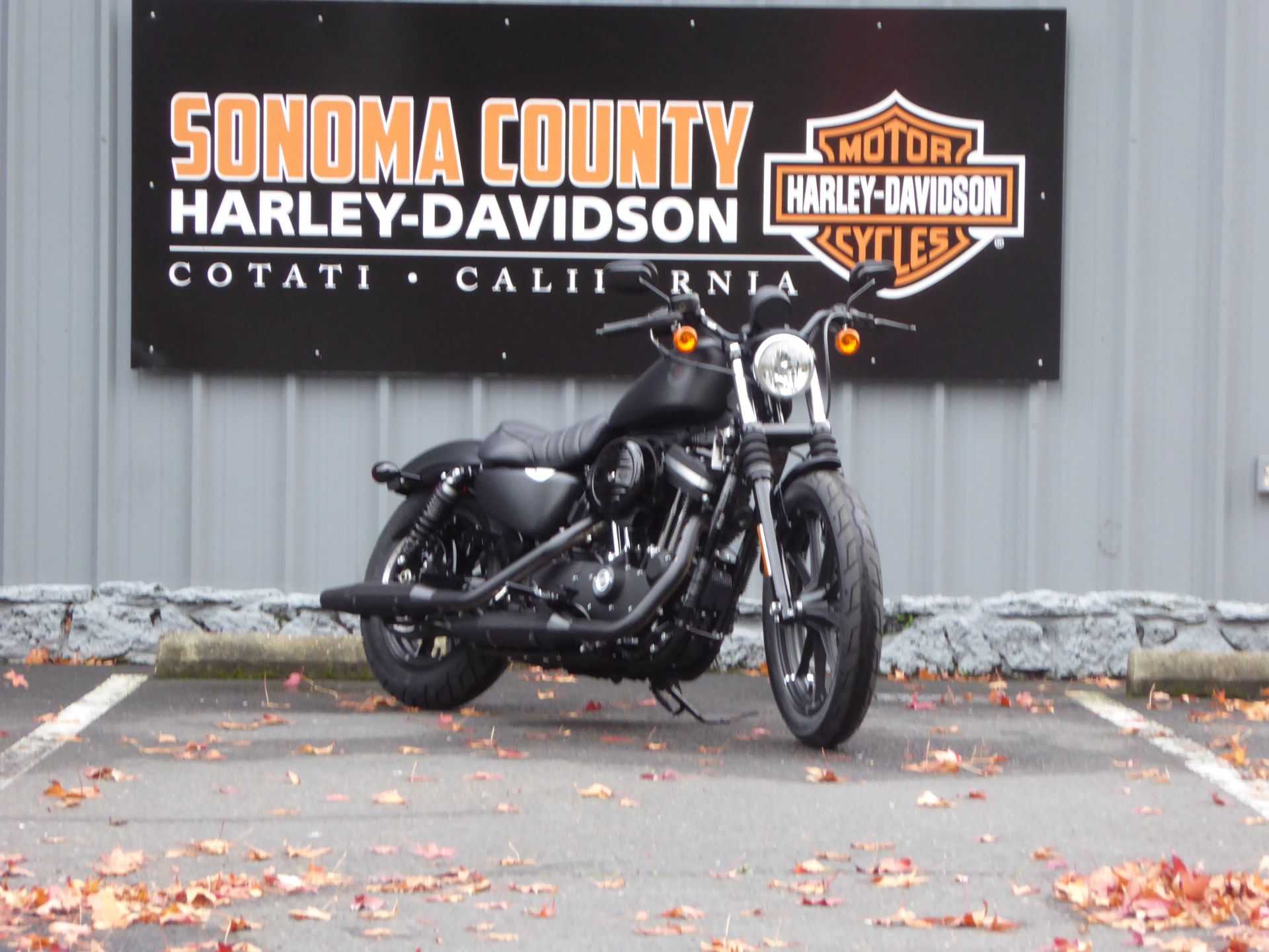 2022 Harley-Davidson IRON 883 in Cotati, California - Photo 2