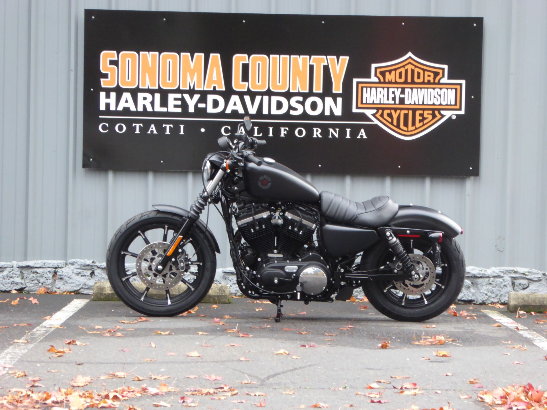2022 Harley-Davidson IRON 883 in Cotati, California - Photo 3