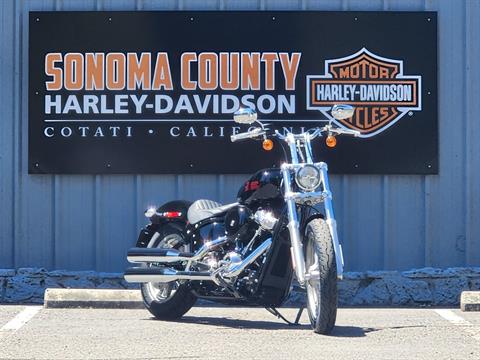 2023 Harley-Davidson Softail® Standard in Cotati, California - Photo 2
