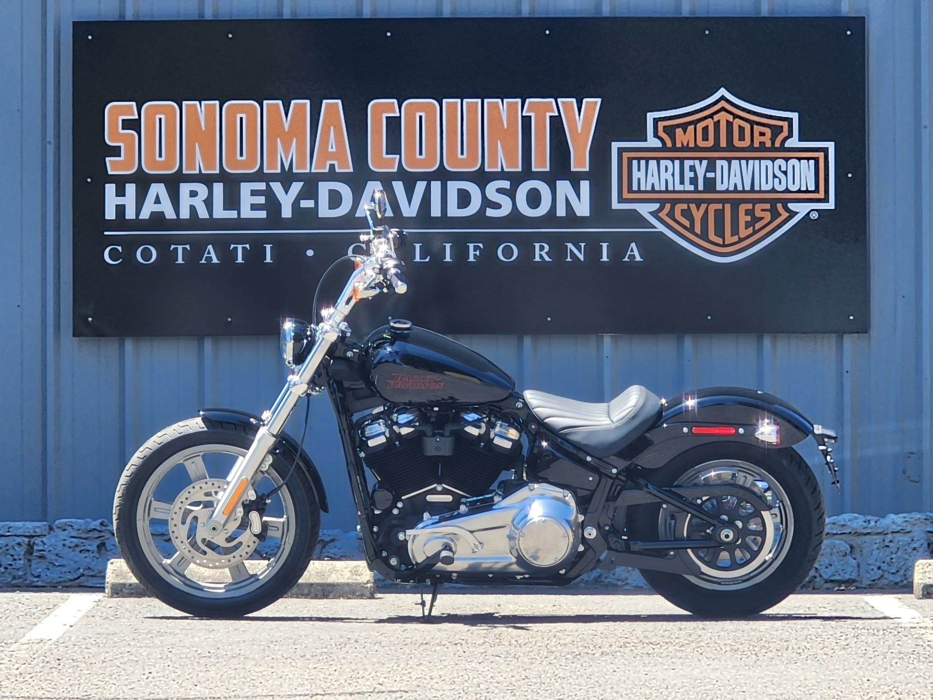 2023 Harley-Davidson Softail® Standard in Cotati, California - Photo 3