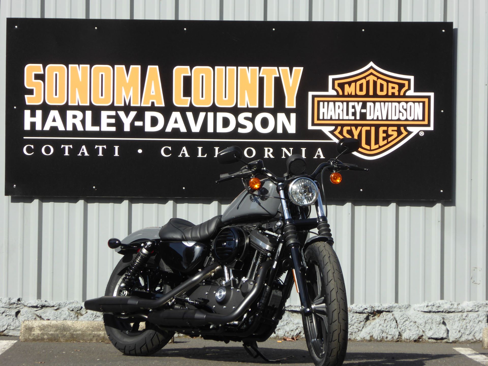 2022 Harley-Davidson Iron 883™ in Cotati, California - Photo 2