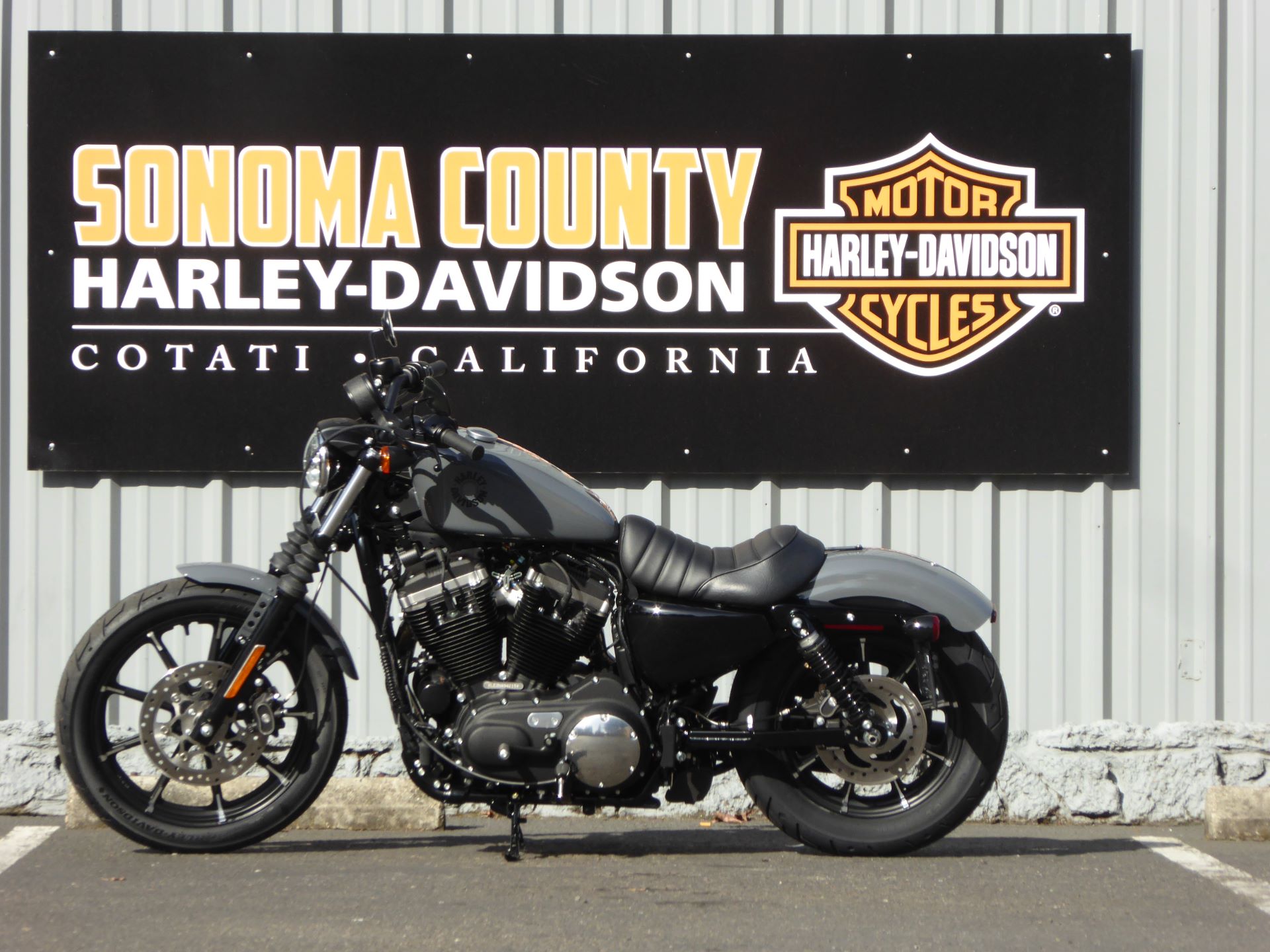 2022 Harley-Davidson Iron 883™ in Cotati, California - Photo 3